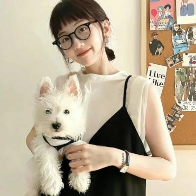 搅局专家 海报